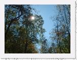 DontLookUp * 1000 x 750 * (222KB)